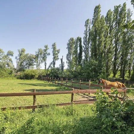 2 Bedroom Awesome In Taglio Di Po Ro Dom wakacyjny *